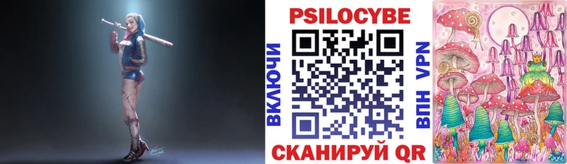 даркнет сайт  Райчихинск  Галлюциногенные грибы Magic Shrooms 