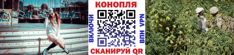 ОМГ ОМГ ссылка  Райчихинск  Канабис конопля 